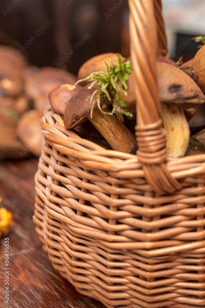 basket with mushrooms