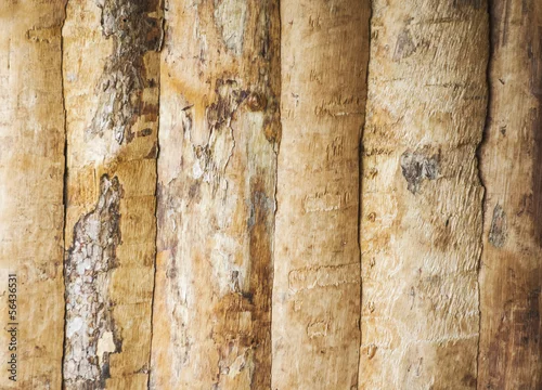 Fototapeta samoprzylepna Ściana z kory lekkiej Browny