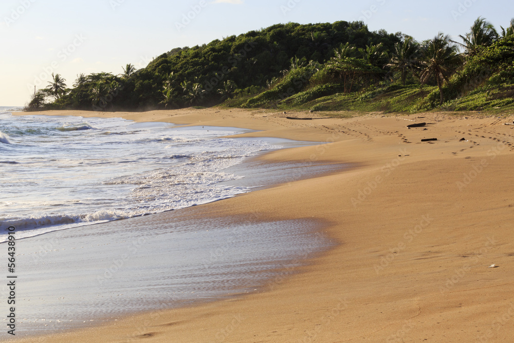 Deserted African beach at sunset Deserted African beach at sunset