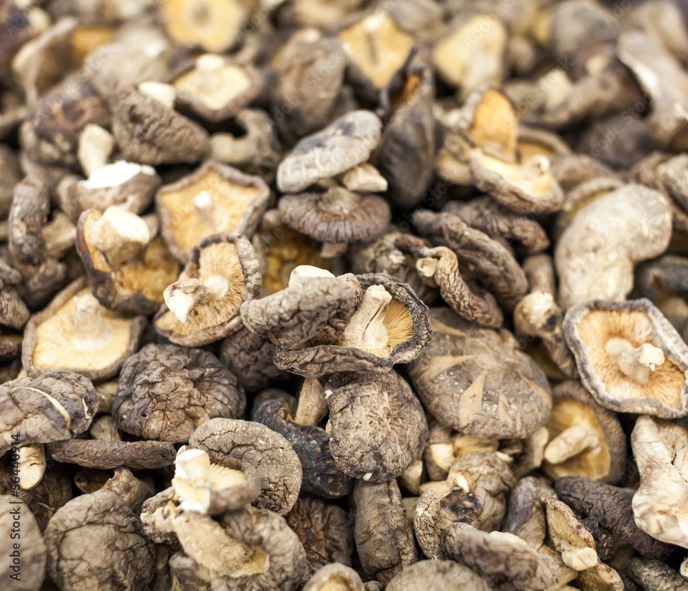 dry mushrooms