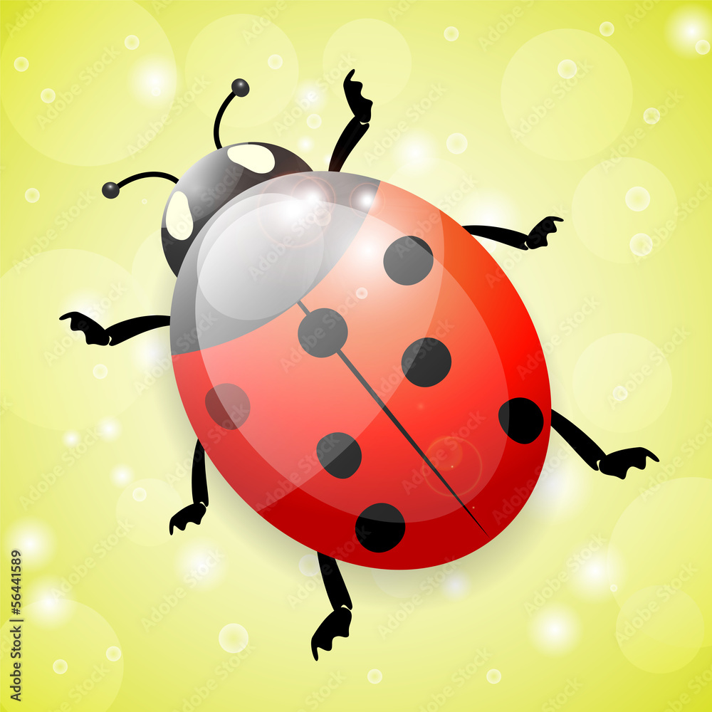 Fototapeta premium Ladybug on green background, illustration