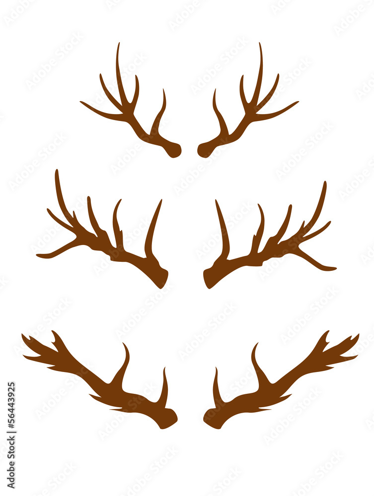 dear horns dear horns