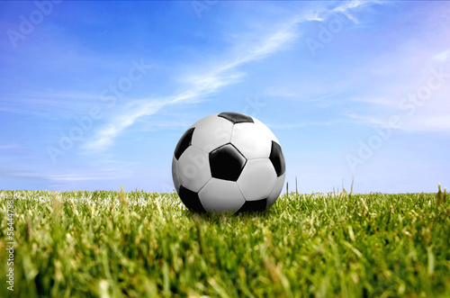 a ball on green grass