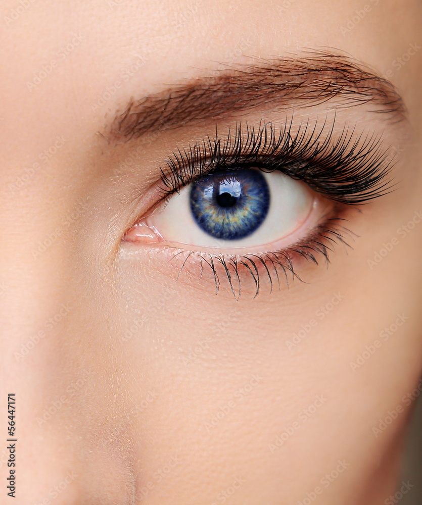 Obraz premium Zbliżenie piękna niebieska kobieta oko z długimi rzęsami salon szuka