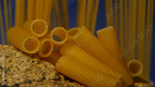 festival dei rigatoni