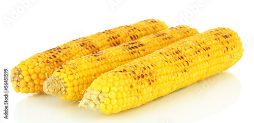 Delicious golden grilled corn isolated on white
