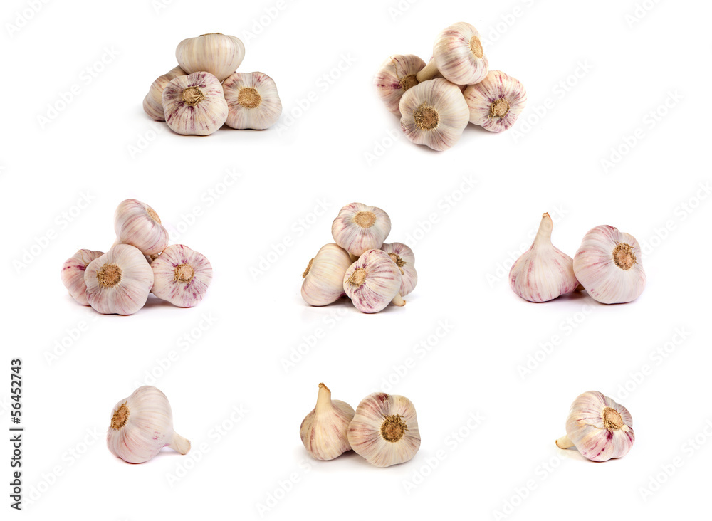 set of garlics . A heads of garlics isolated set of garlics . A heads of garlics isolated