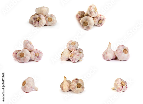 set of garlics . A heads of garlics isolated