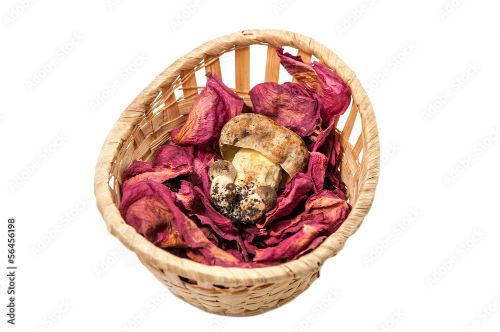 Mushroom in the basket.