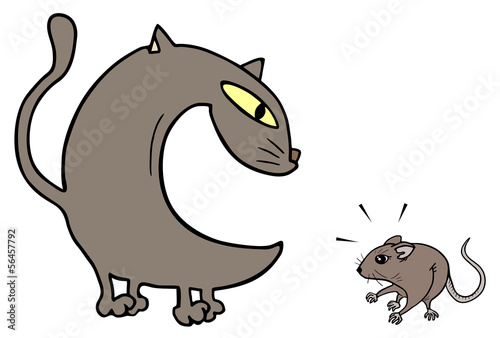 Cat and mouse