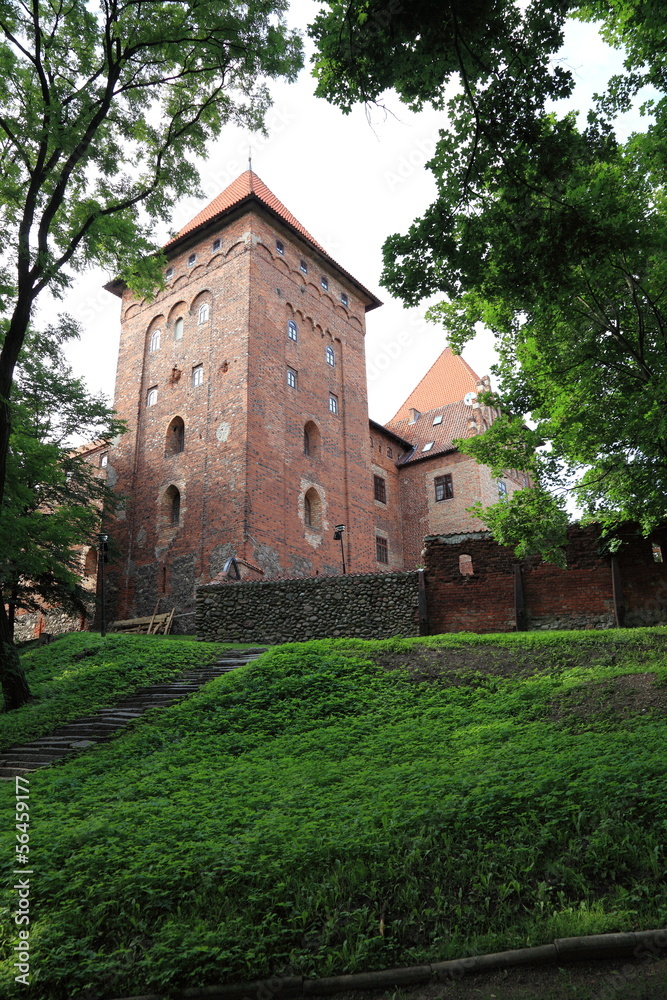 Poland old castle Nidzica