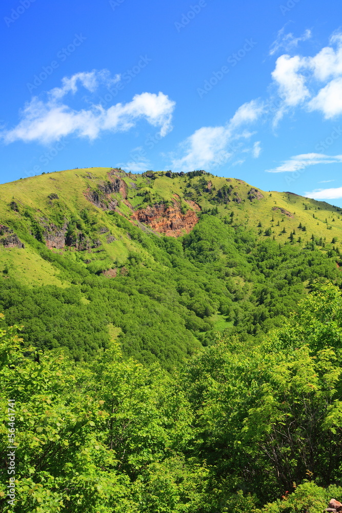 Mountain in summer, Mt. Nekodake, Nagano, Japan