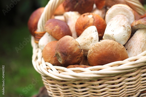 Basket with ceps