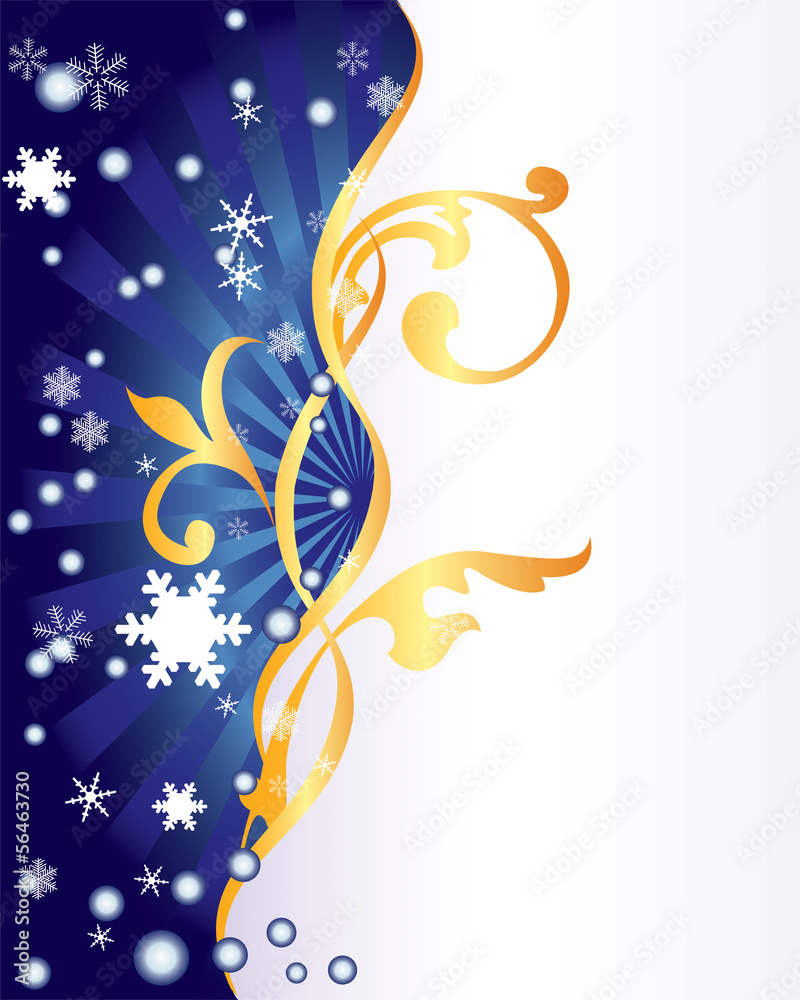 Obraz premium Winter ornament.