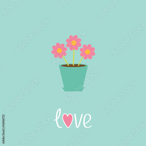 Fototapeta Naklejka Na Ścianę i Meble -  Three pink flowers in pot. Love card.