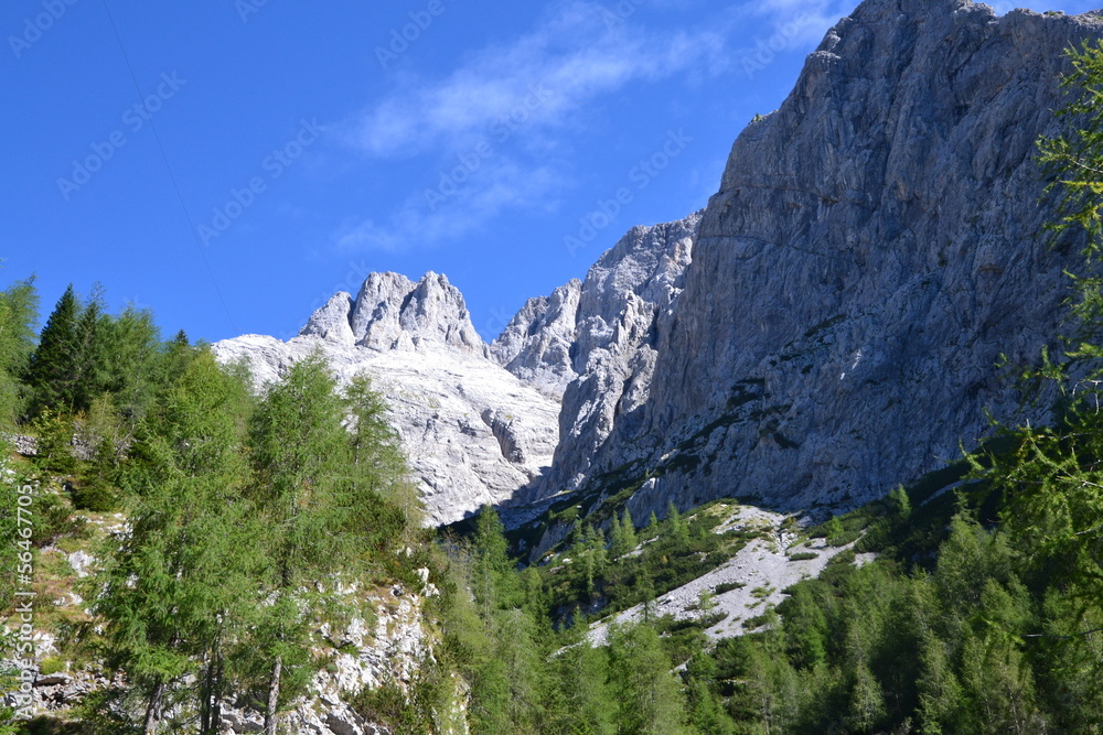 Fototapeta premium Carnia - Passo Volaia