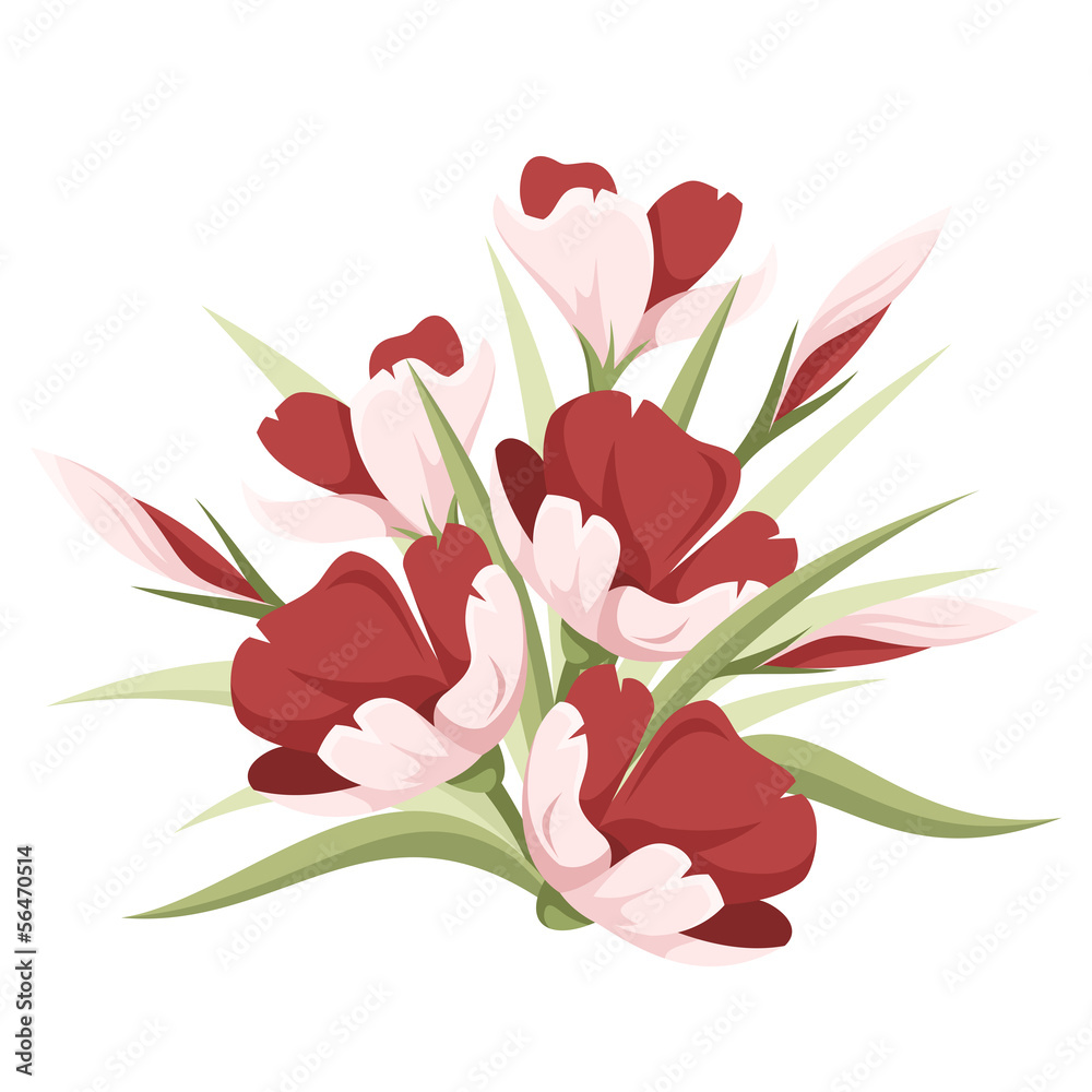 Red flowers. Vector illustration.