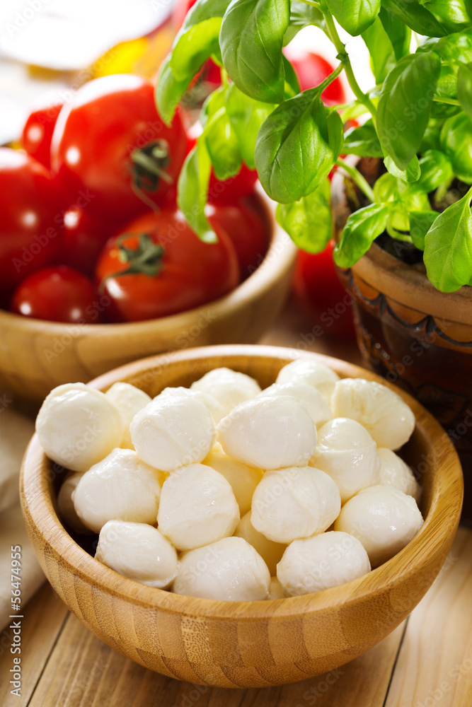 mozzarella with tomatoes and green basil mozzarella with tomatoes and green basil