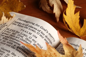 Open Bible and autumn leaves.