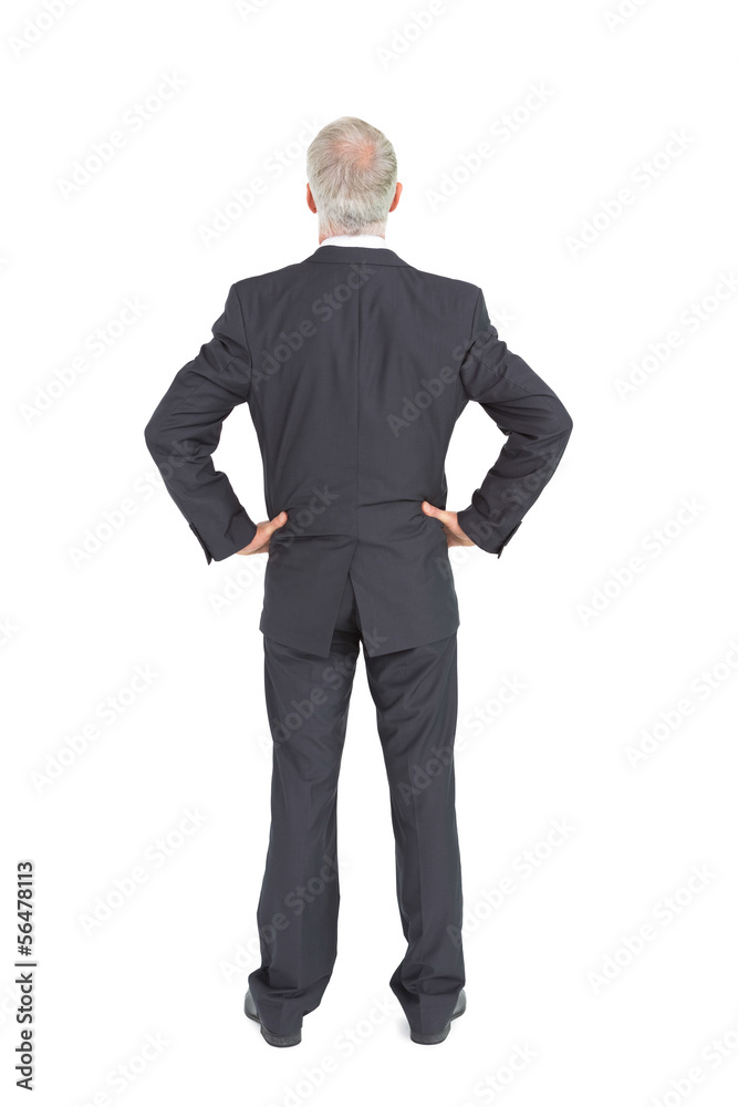 Rear view of serious mature businessman posing Rear view of serious mature businessman posing