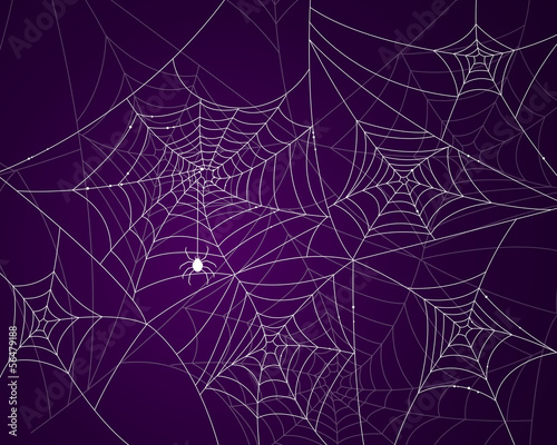 Vector Illustration of Scary Spider Webs