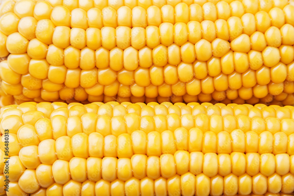 corn close up corn close up