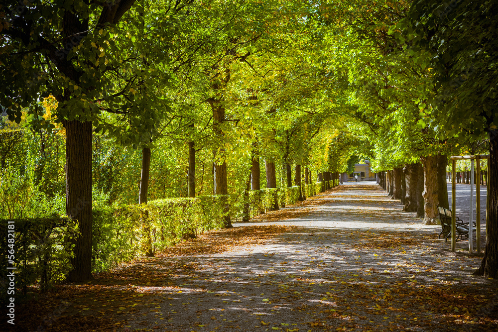 Beautiful park alley in autumn Beautiful park alley in autumn
