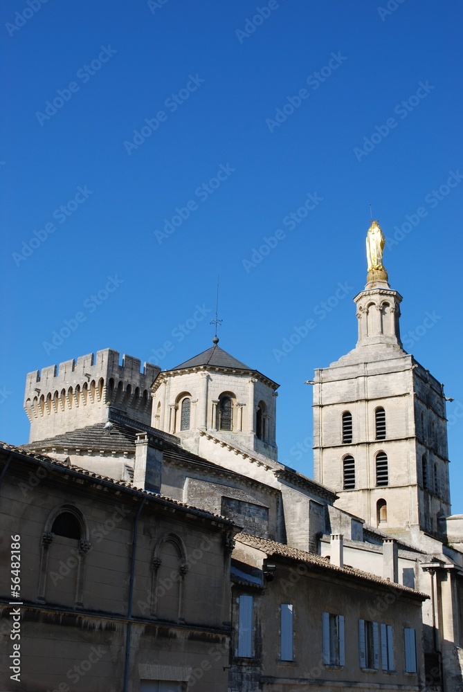 church of Notre Dame and Popes Palace in Avignon, France