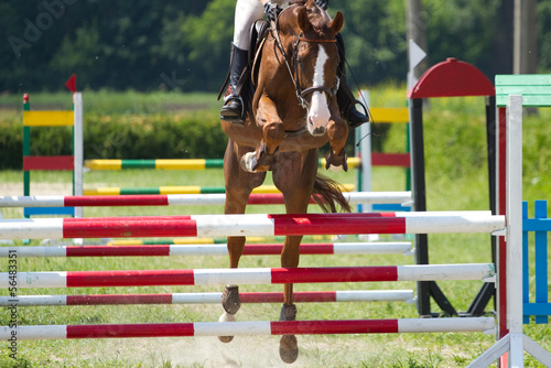 Horse jump a hurdle