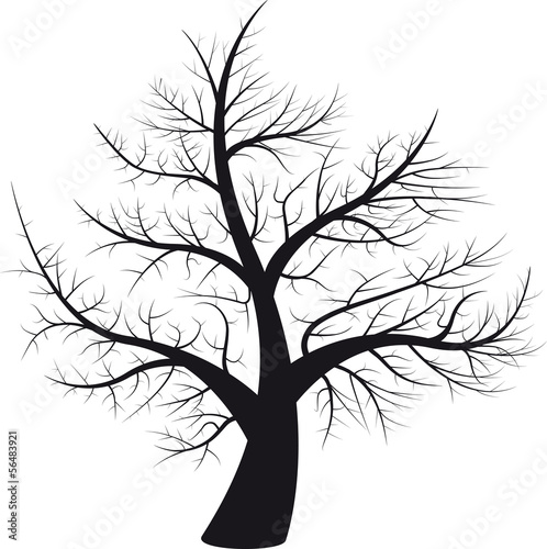 1st-tree black on white