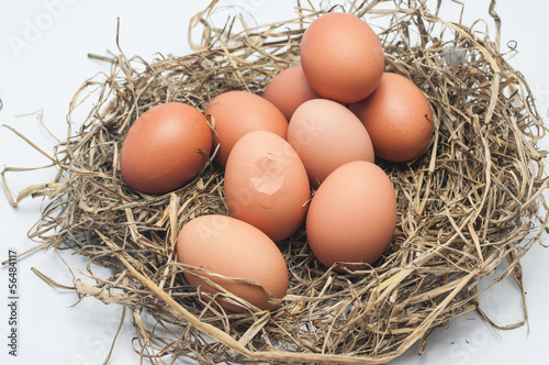 Cracked eggs and some egg in straw.