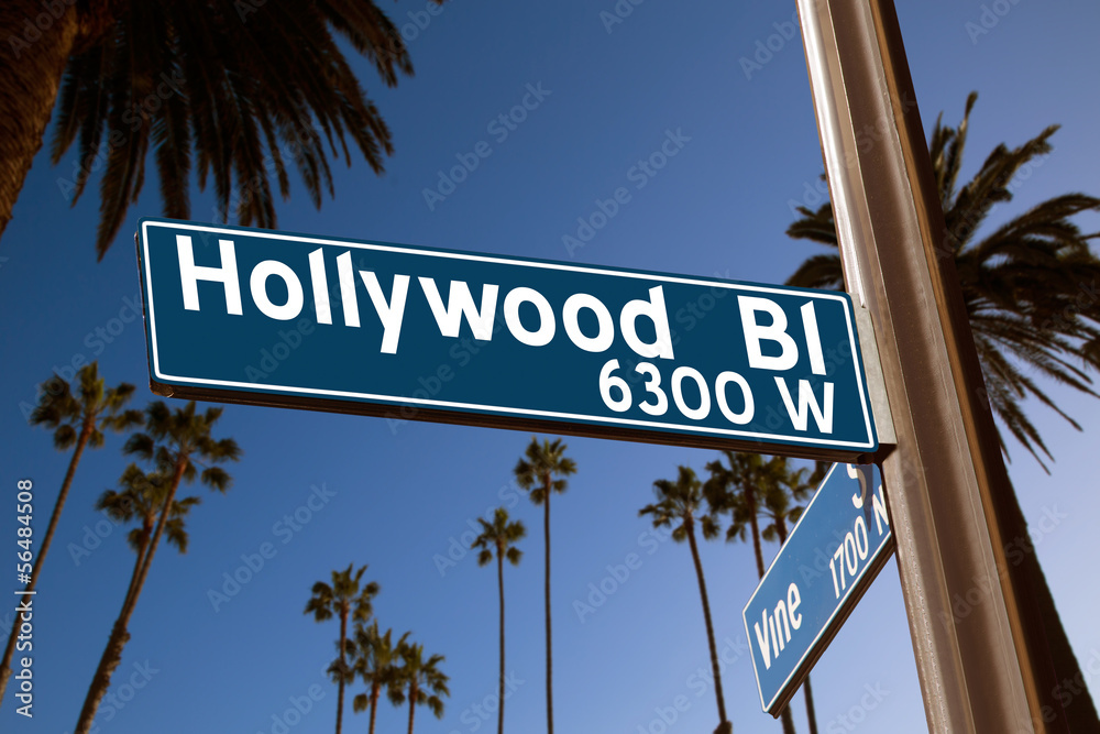 Naklejka premium Hollywood Boulevard z ilustracją znaku na palmach