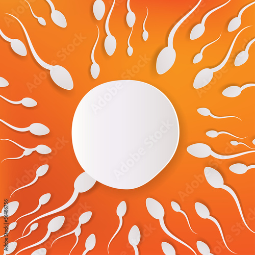 Slika na platnu Vector spermatozoons, floating to ovule