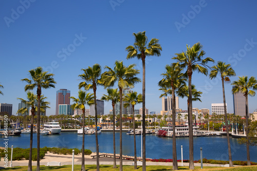 Long Beach California skyline from palm trees of port
