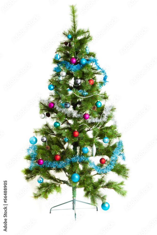 Christmas tree. Christmas tree.