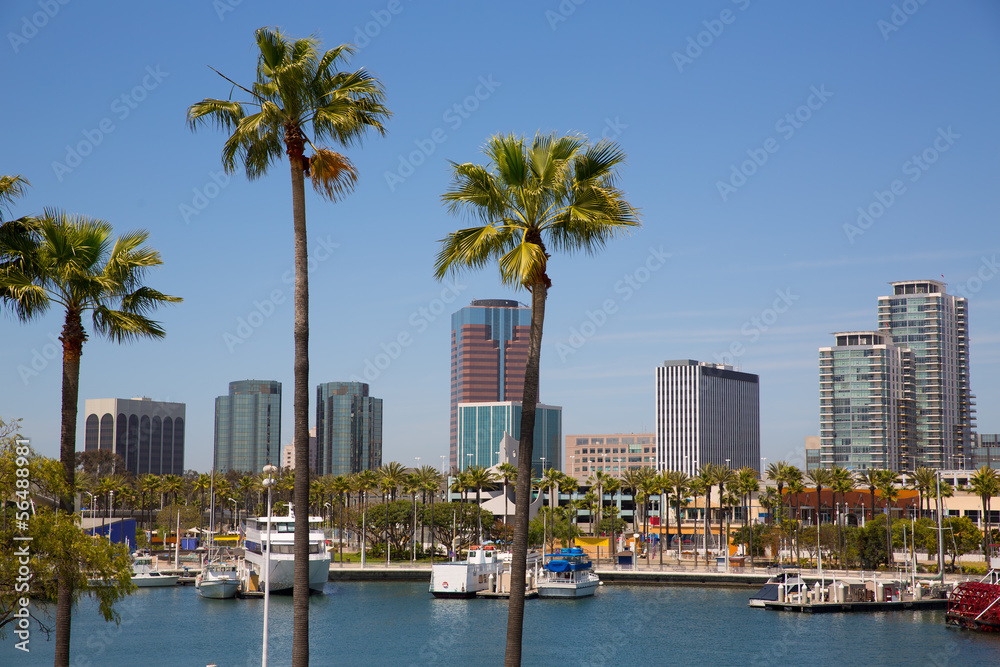 Naklejka premium Long Beach California panoramę z palmami portu