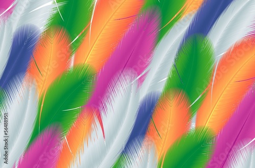 Feathers. Vector background.