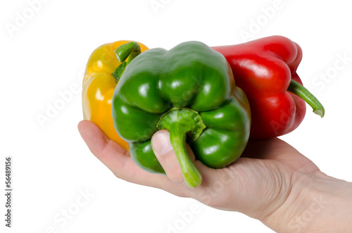 Miscellaneous colored fresh vegetables peppers