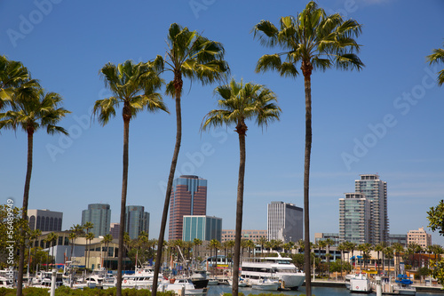 Long Beach California skyline from palm trees of port