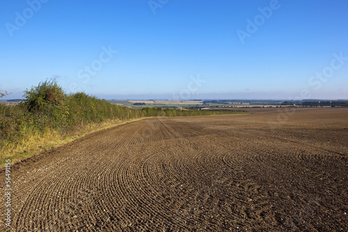 scenic cultivated field