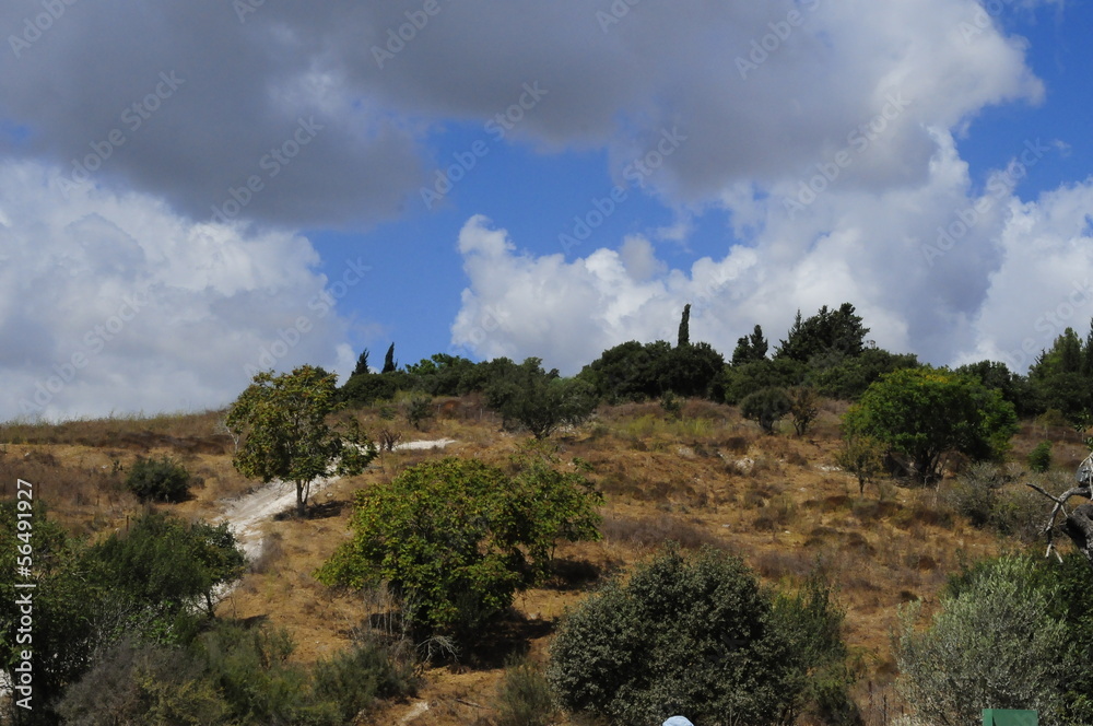 Pastoral Landscape with trees and hills, Israel