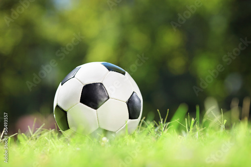 Shot of a soccer ball on a grass