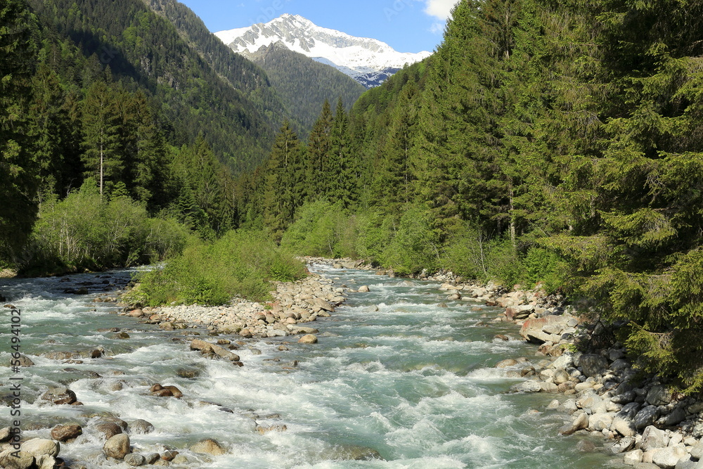 Landscape with mountains trees and a river in front Landscape with mountains trees and a river in front