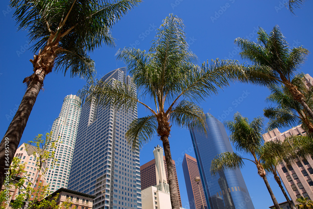LA Downtown Los Angeles Pershing Square palm tress