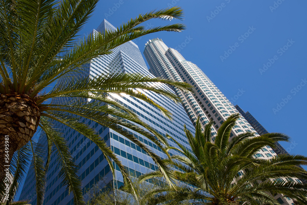 Naklejka premium Downtown LA Los Angeles skyline California palm trees