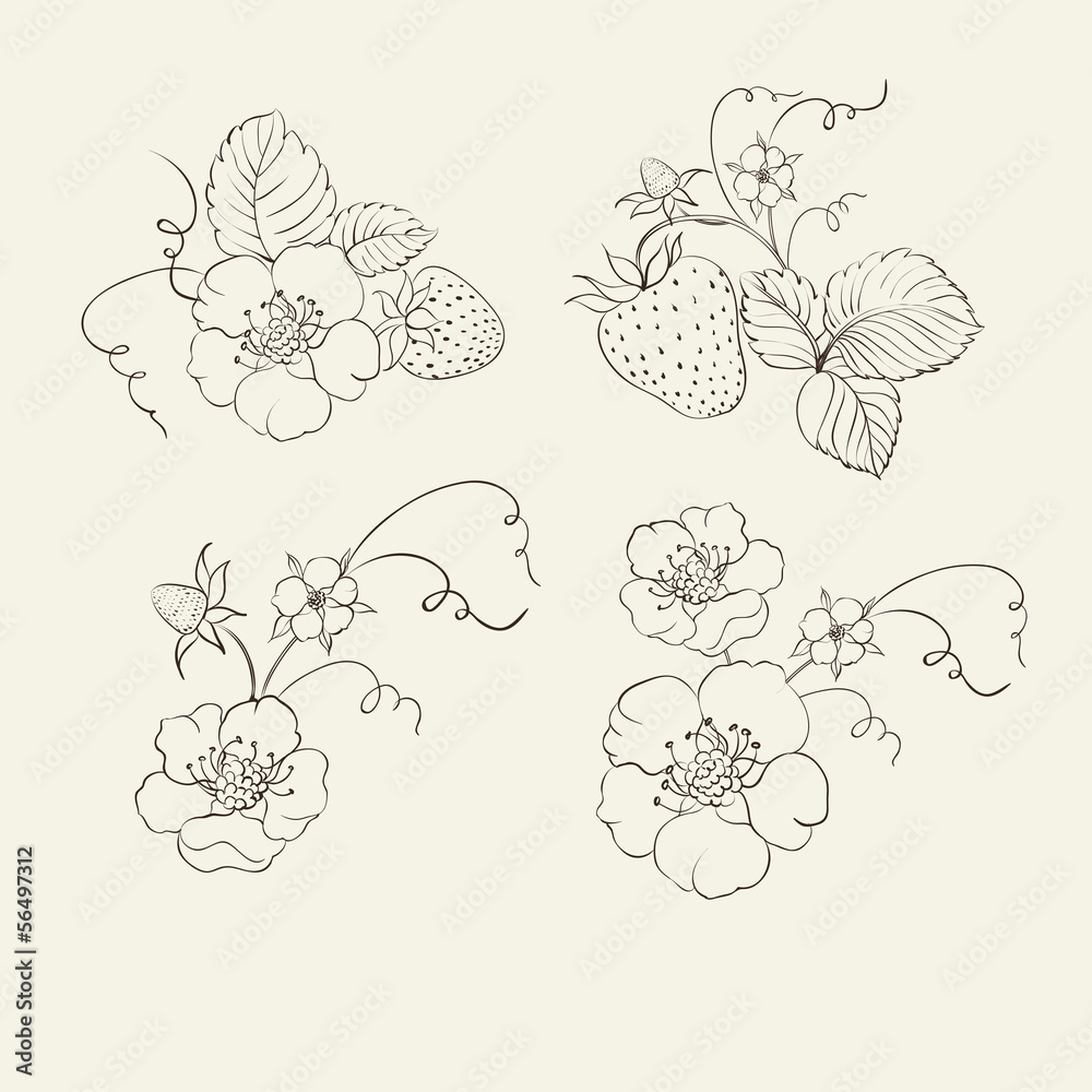 Strawberry elements Strawberry elements