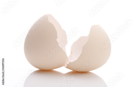 割れた卵の殻