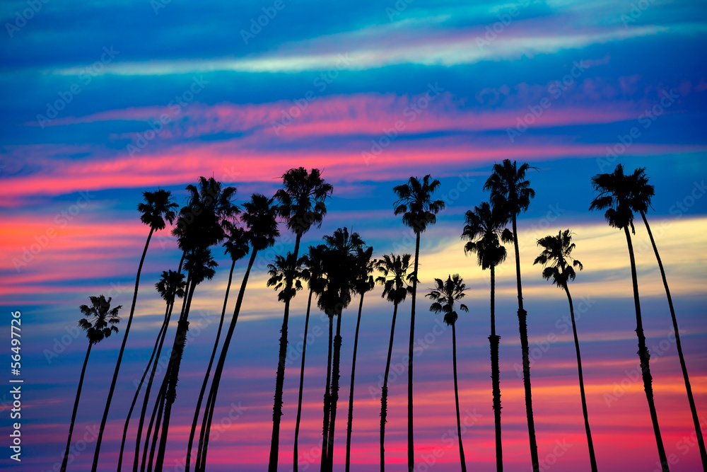 Naklejka premium California palm trees sunset with colorful sky
