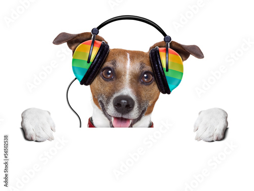 music dog © Javier brosch
