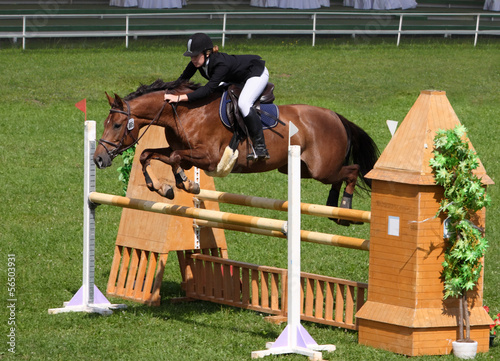 Quadro em tela Equestrian sport: show jumping